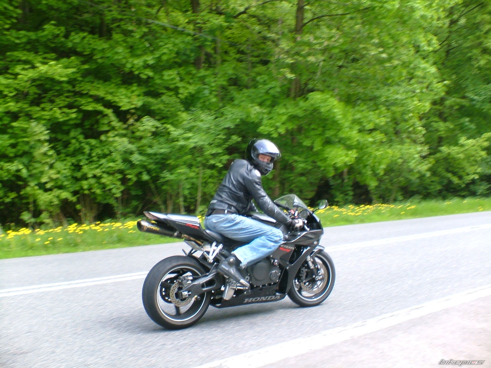 Photo 1981420