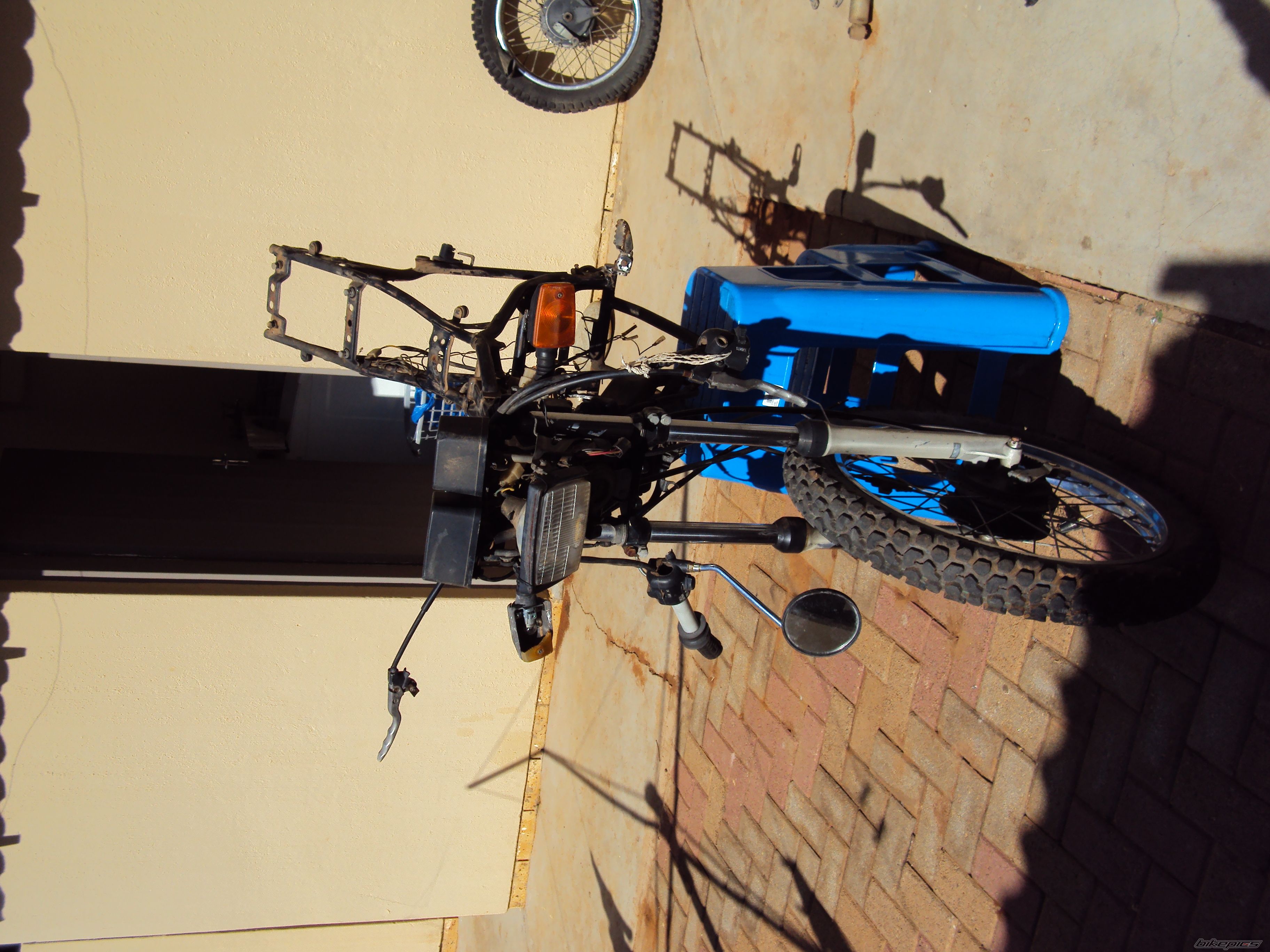 Bike Photo 1981421
