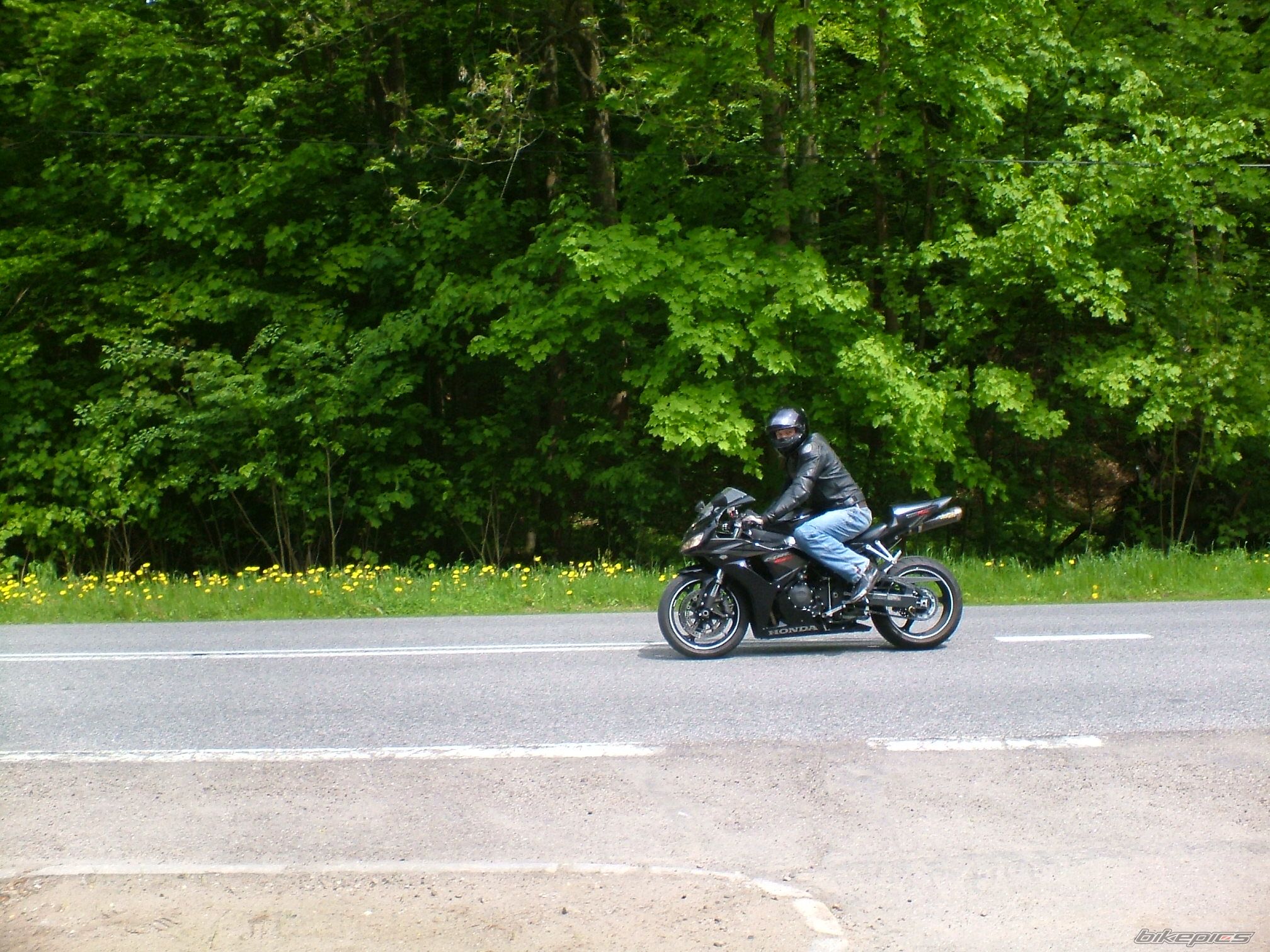 Photo 1981422