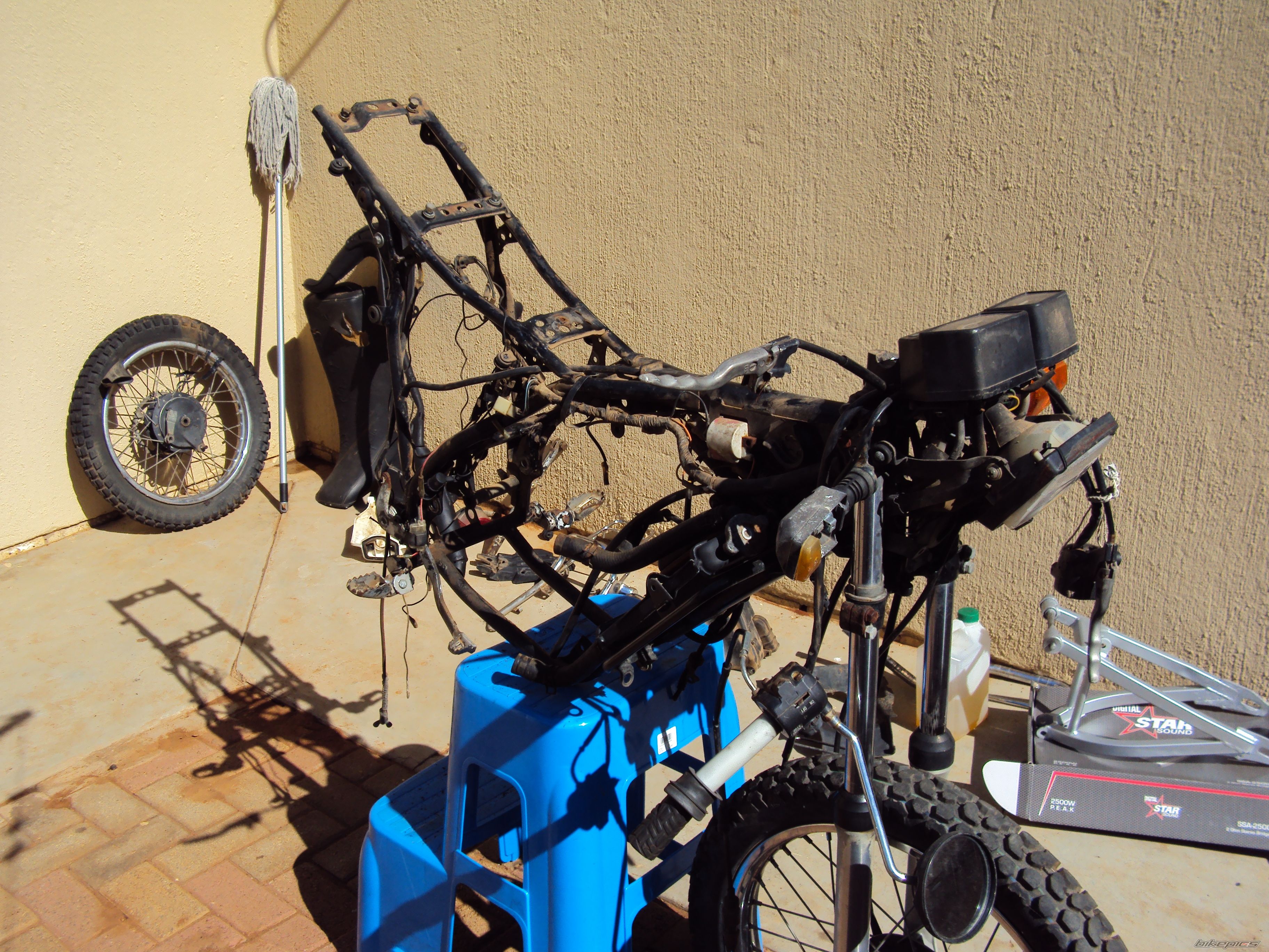 Bike Photo 1981429