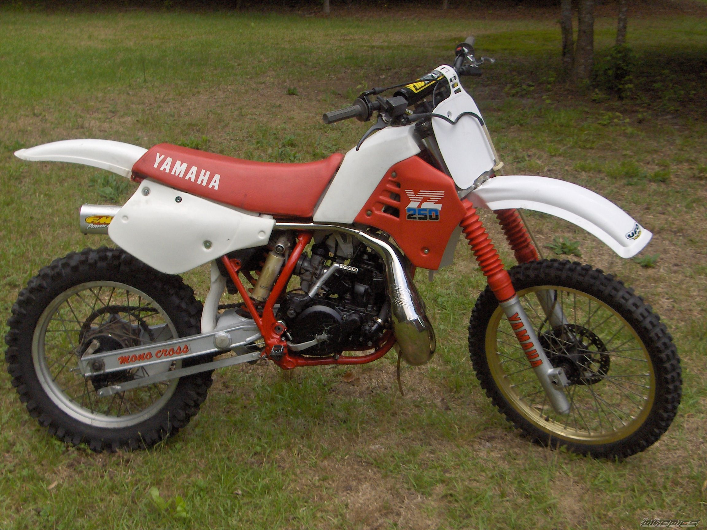 Bike Photo 1981468