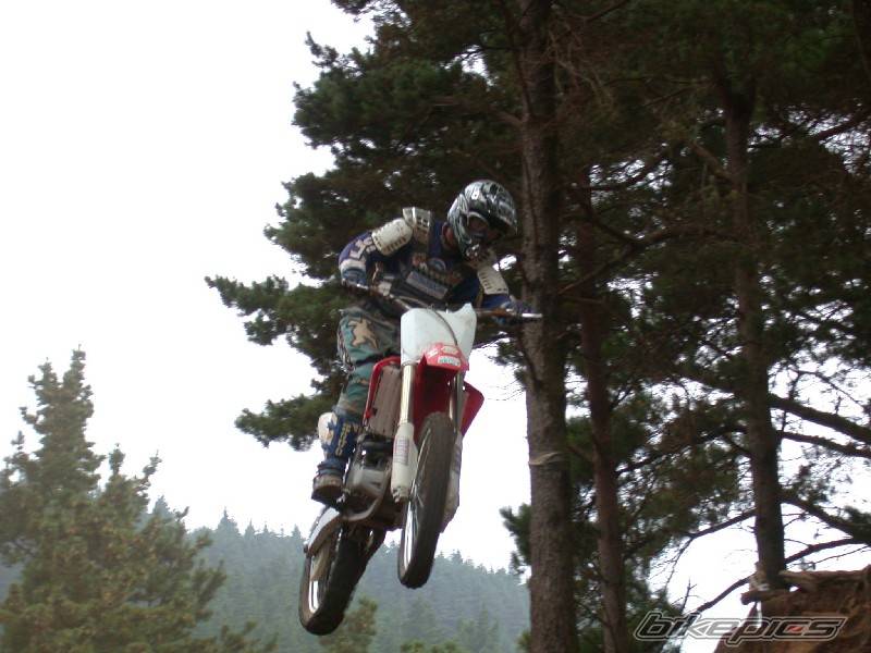 Photo 198147