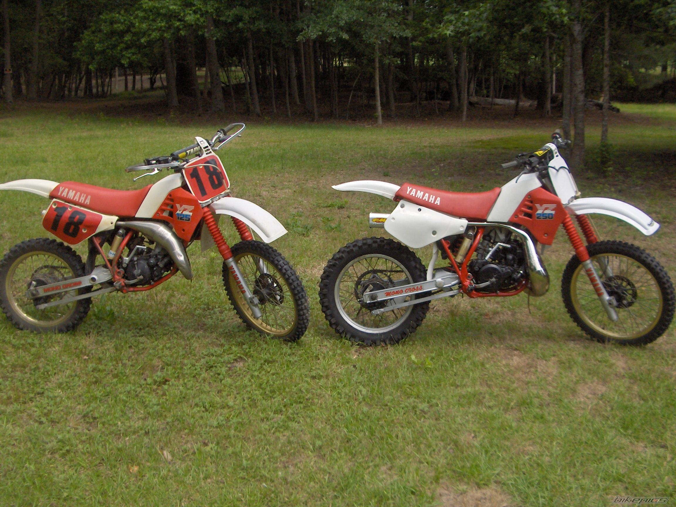 Bike Photo 1981472