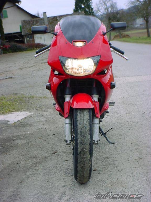 Photo 19815
