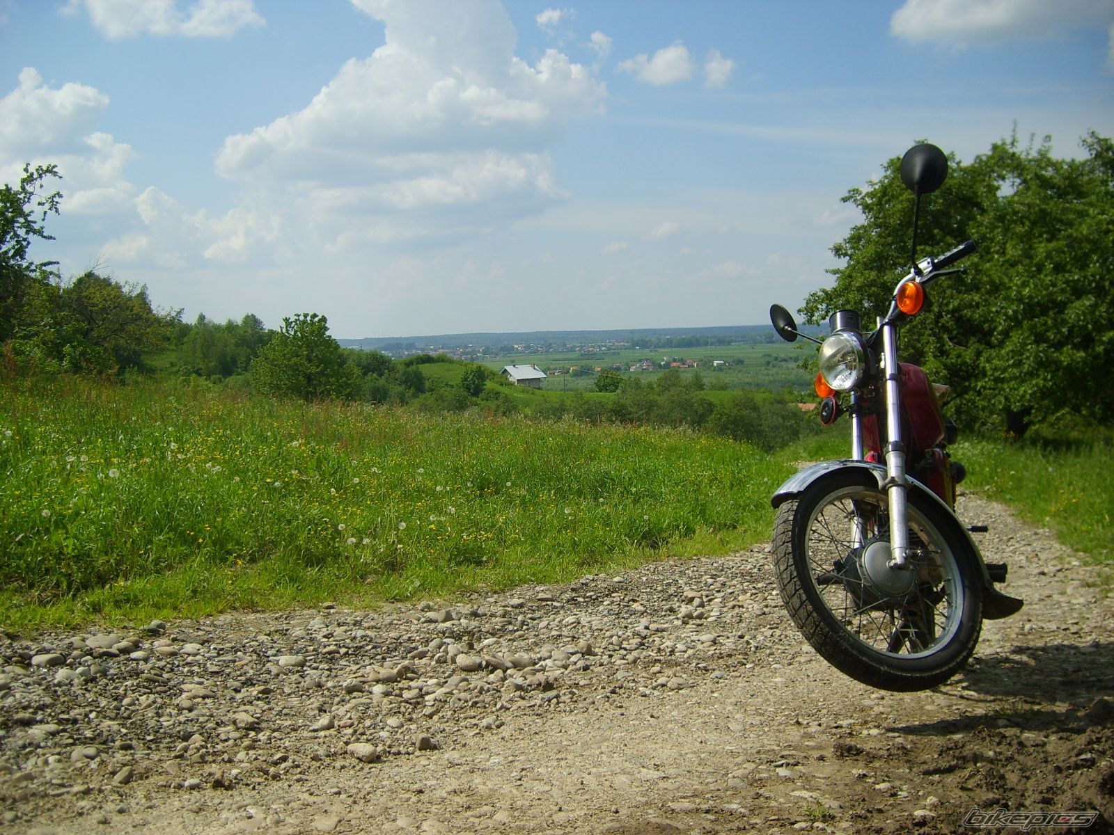 Photo 1981521