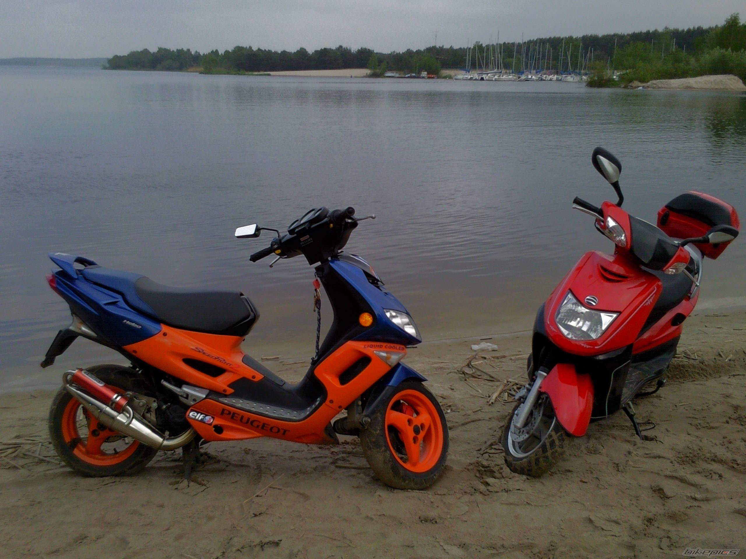Photo 1981534