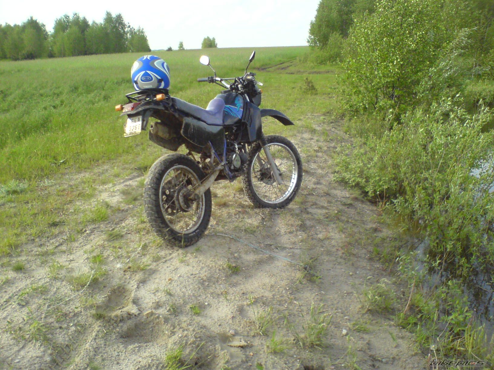 Photo 1981542