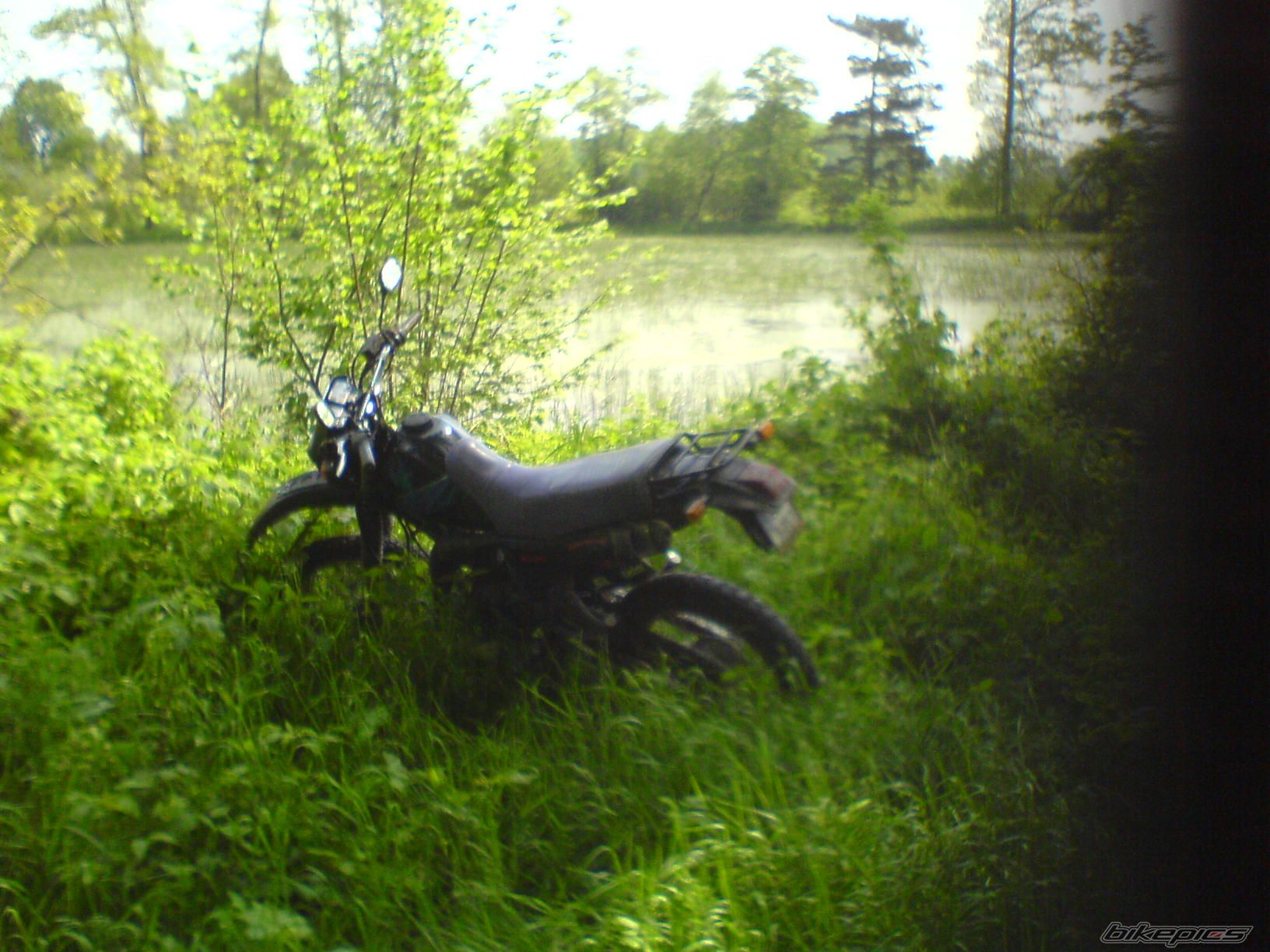 Photo 1981560