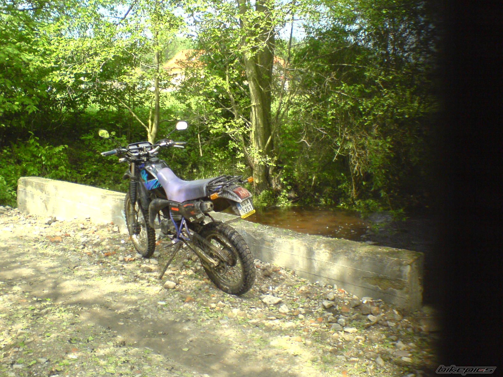 Bike Photo 1981564