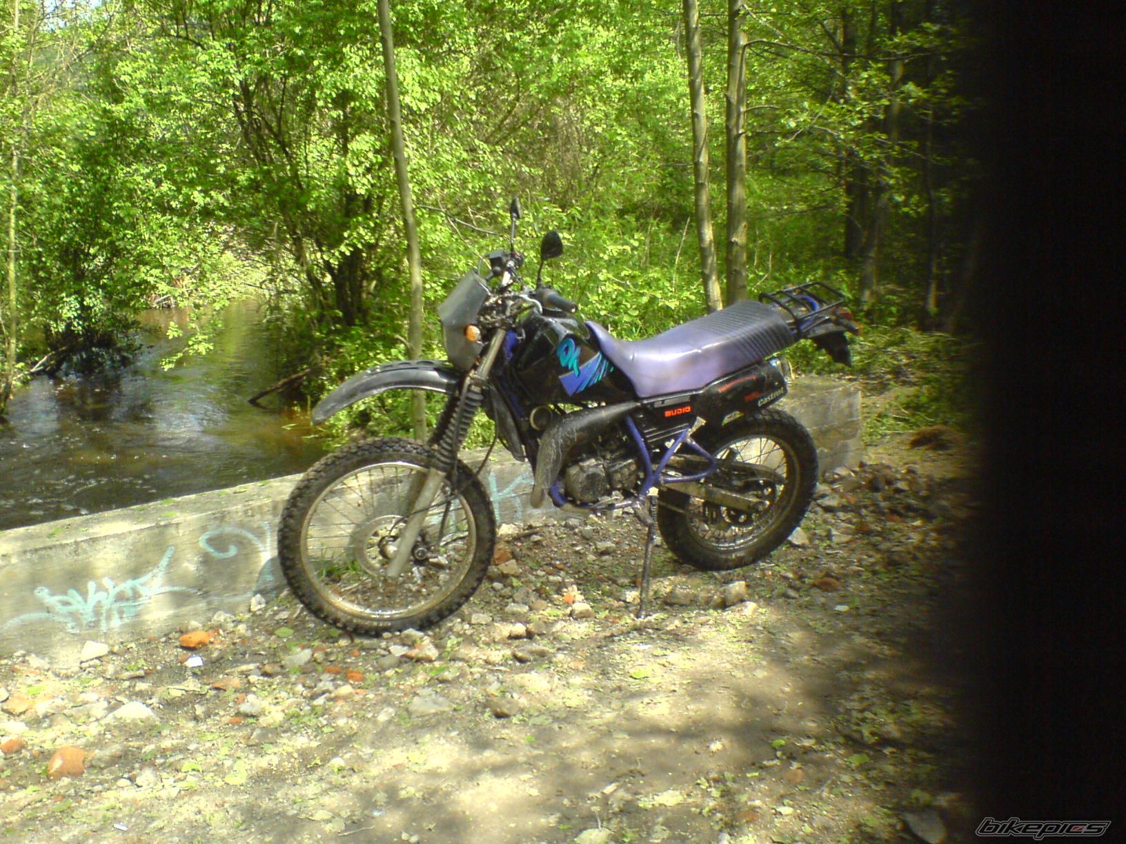 Photo 1981565