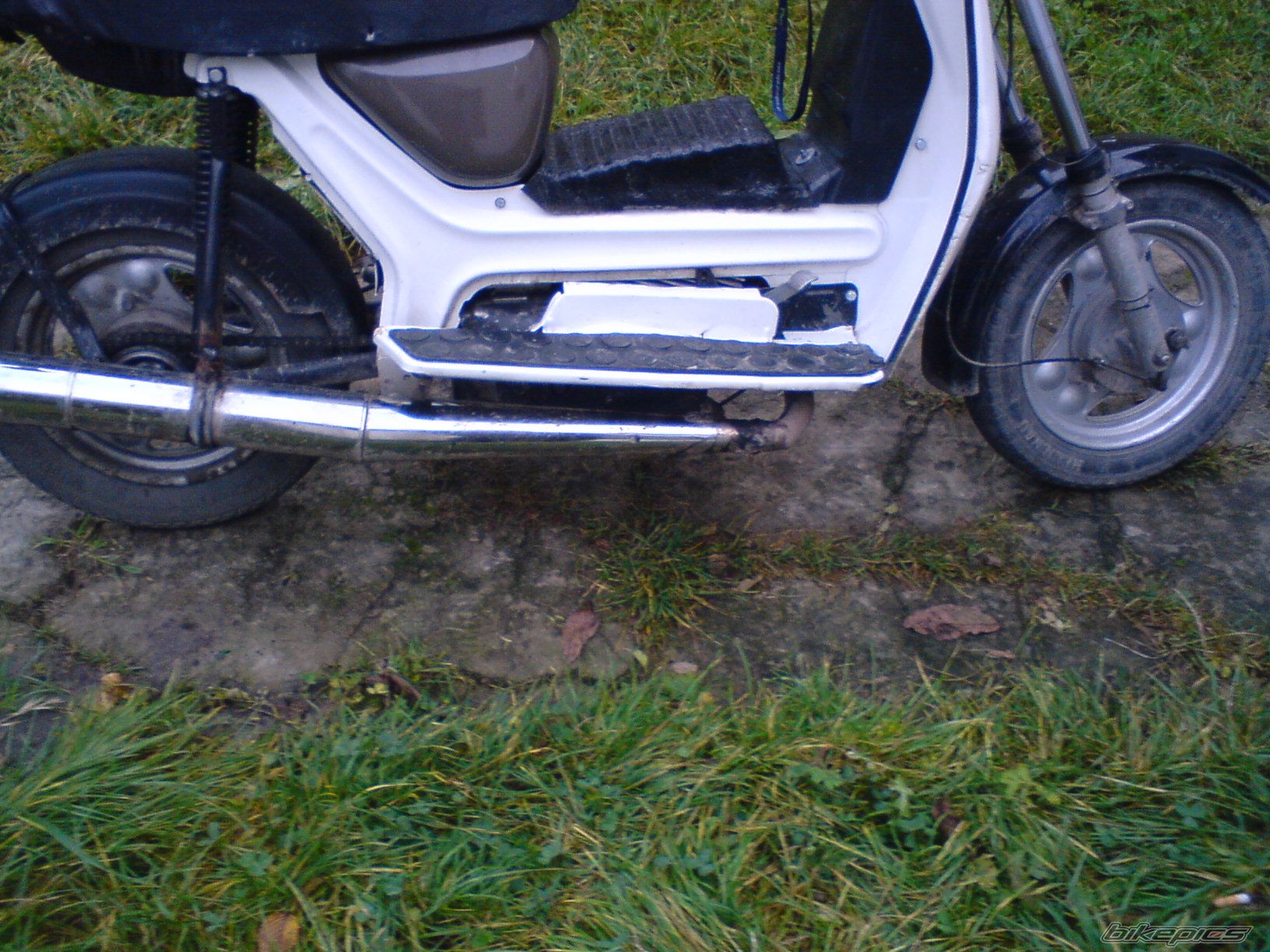 Photo 1981572