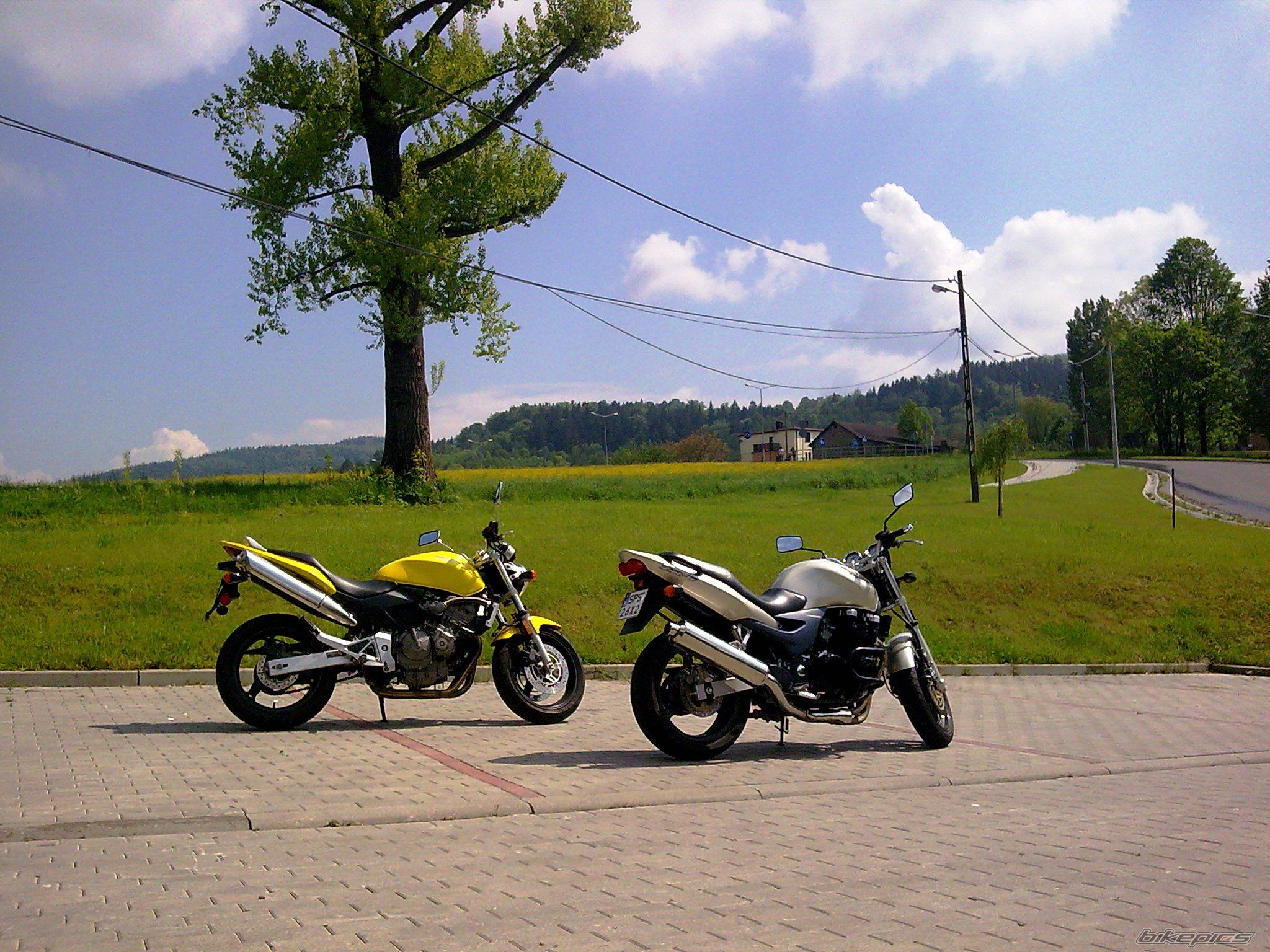 Bike Photo 1981583