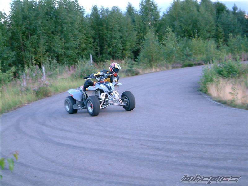 Photo 198168
