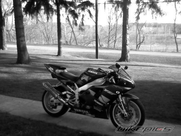 Photo 1981780