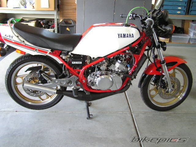 Photo 1981801