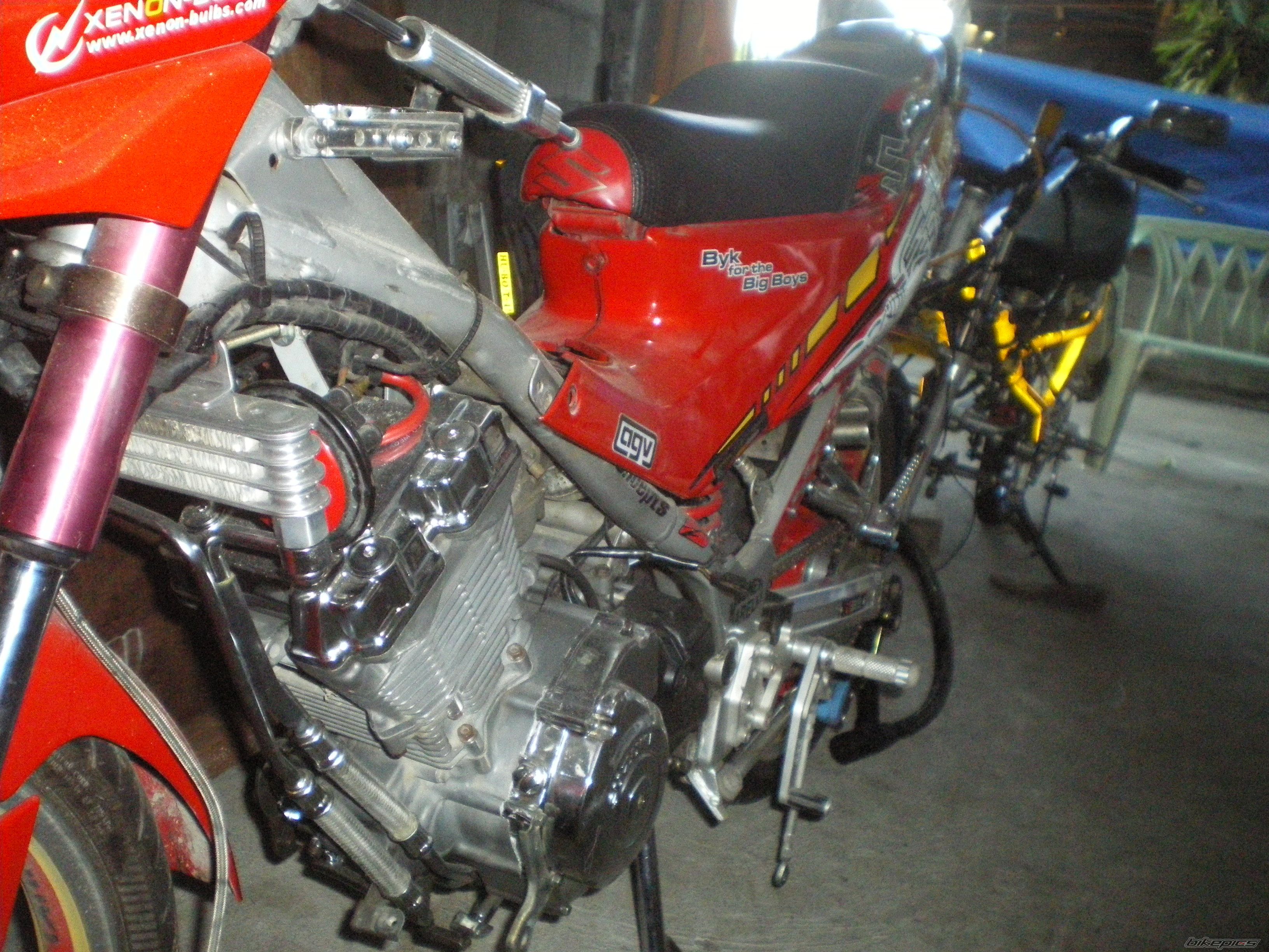 Photo 1981877
