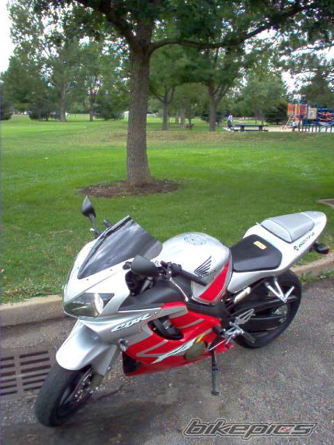 Photo 198203