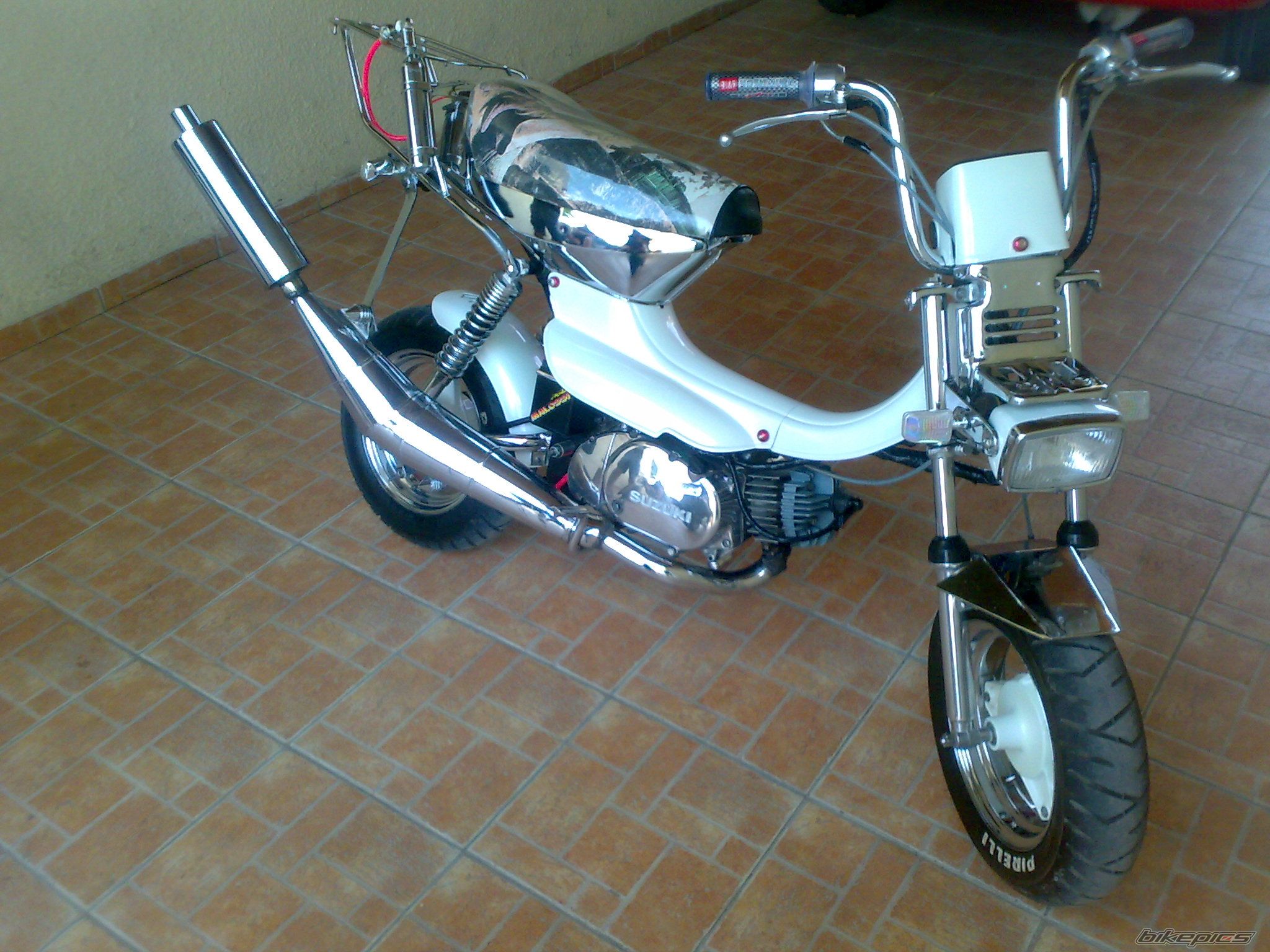 Photo 1982072