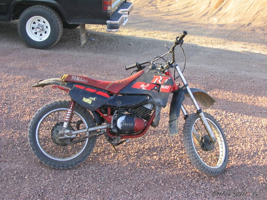 Photo 198234