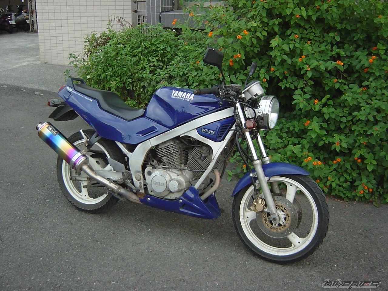 Bike Photo 1982432