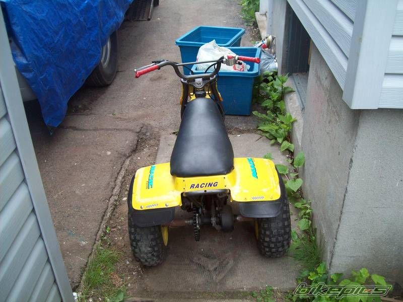 Photo 1982553