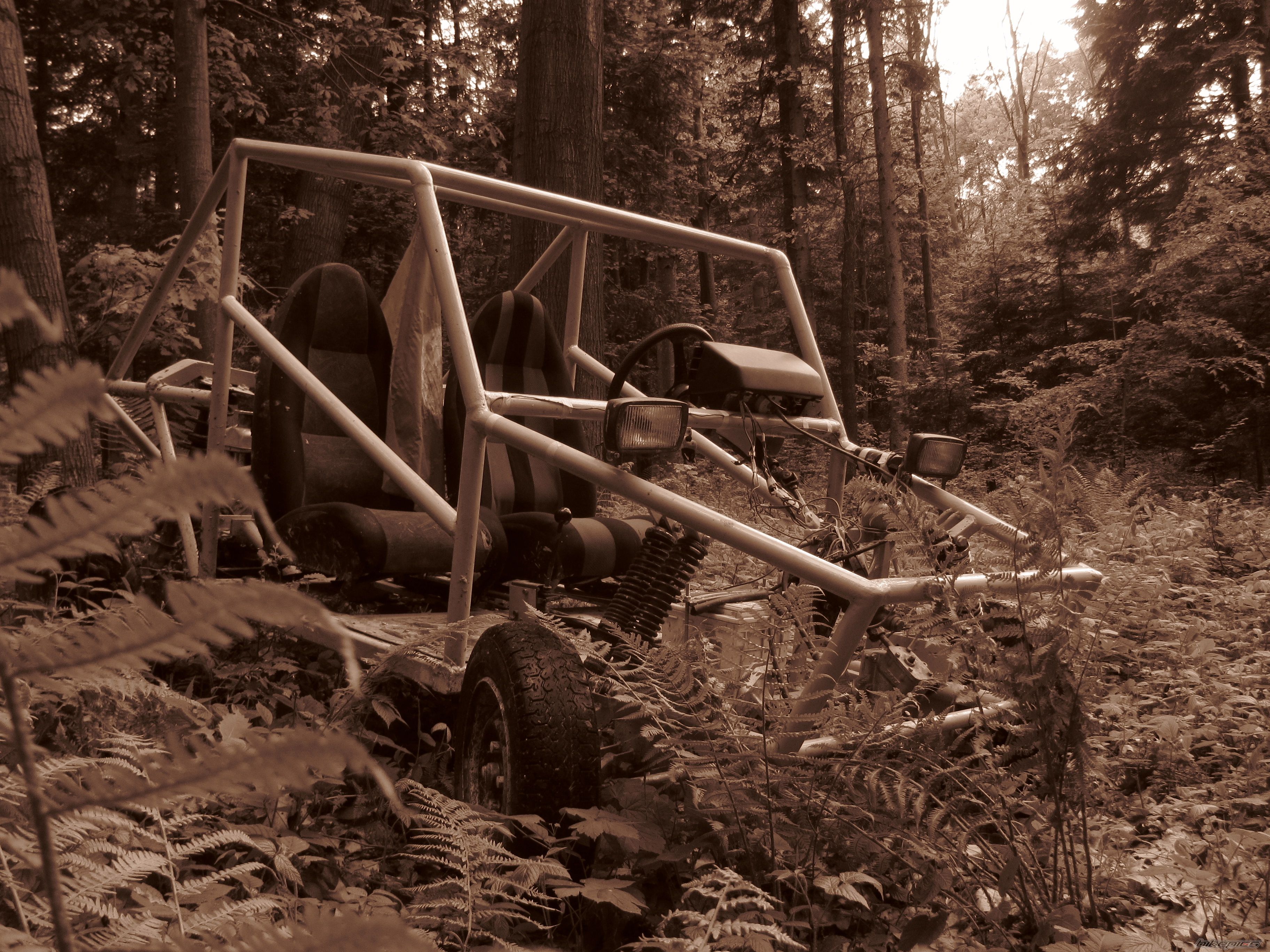 Photo 1982619