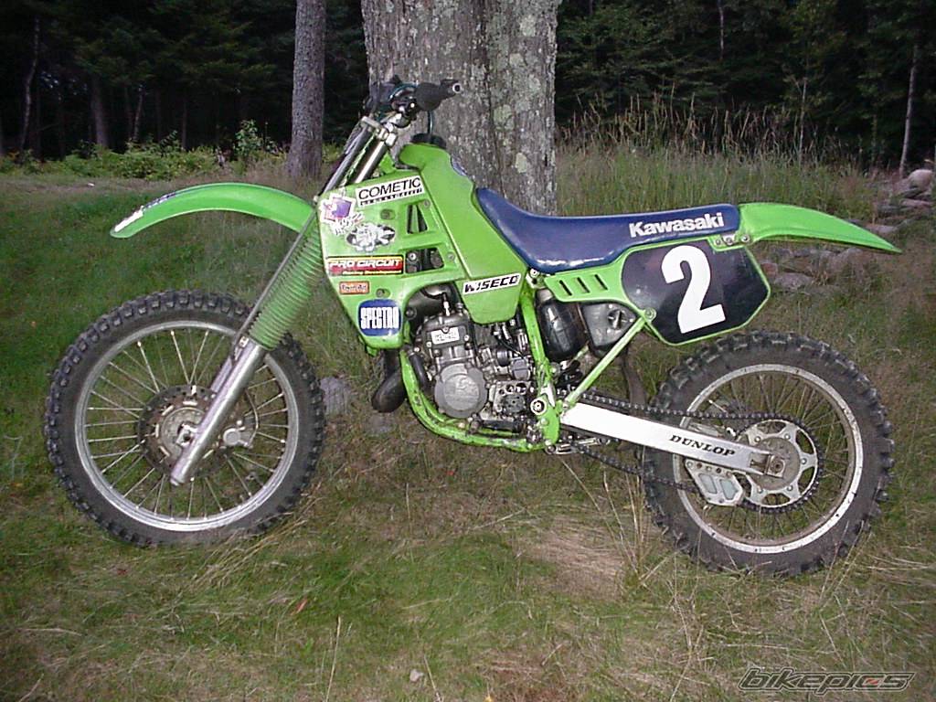 Photo 198262