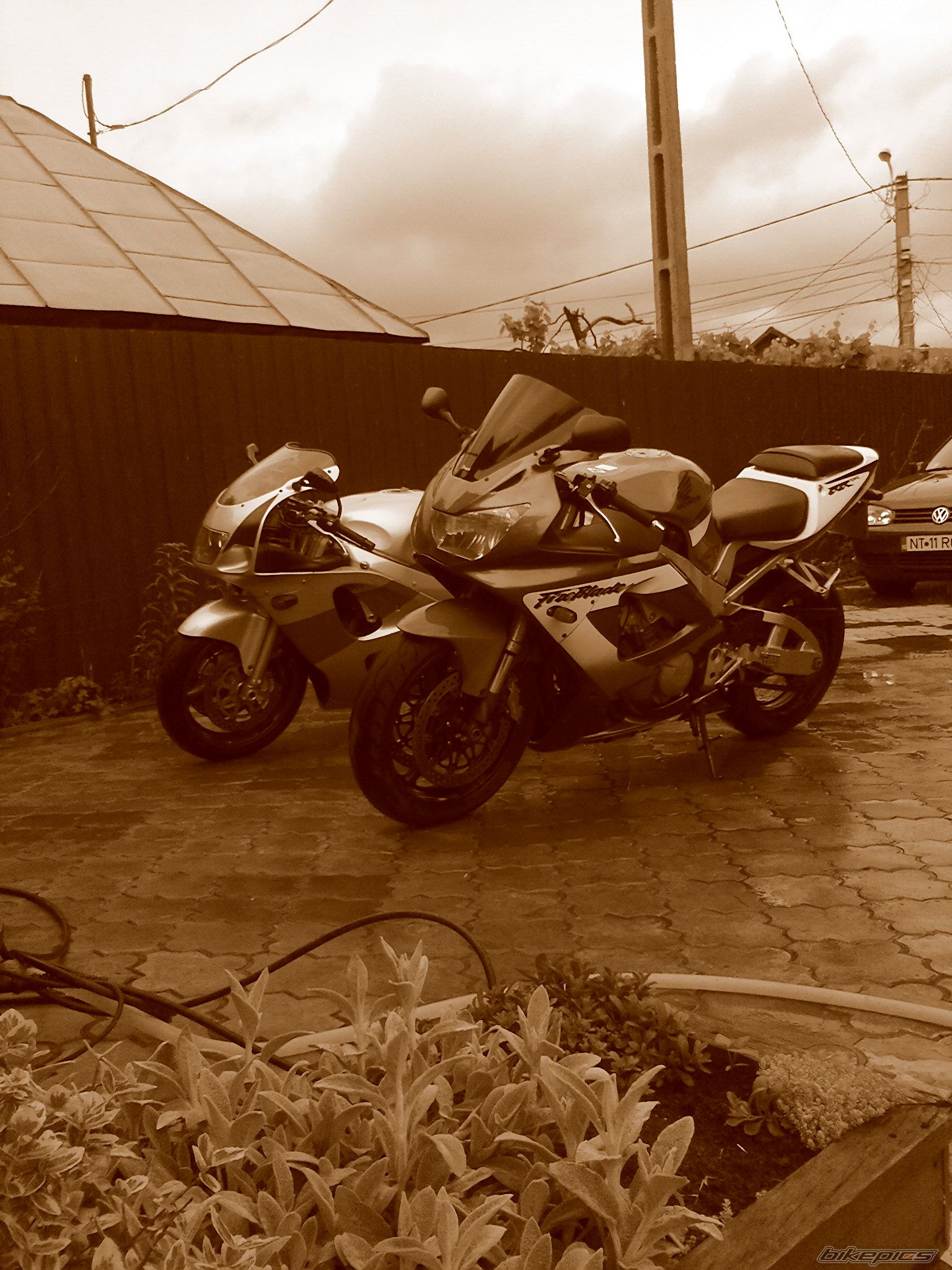 Photo 1982629
