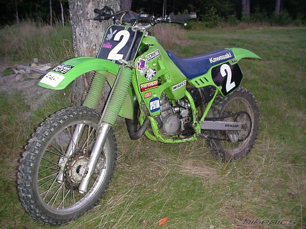 Photo 198265