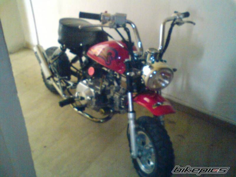 Photo 1982653