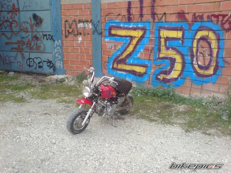 Photo 1982655