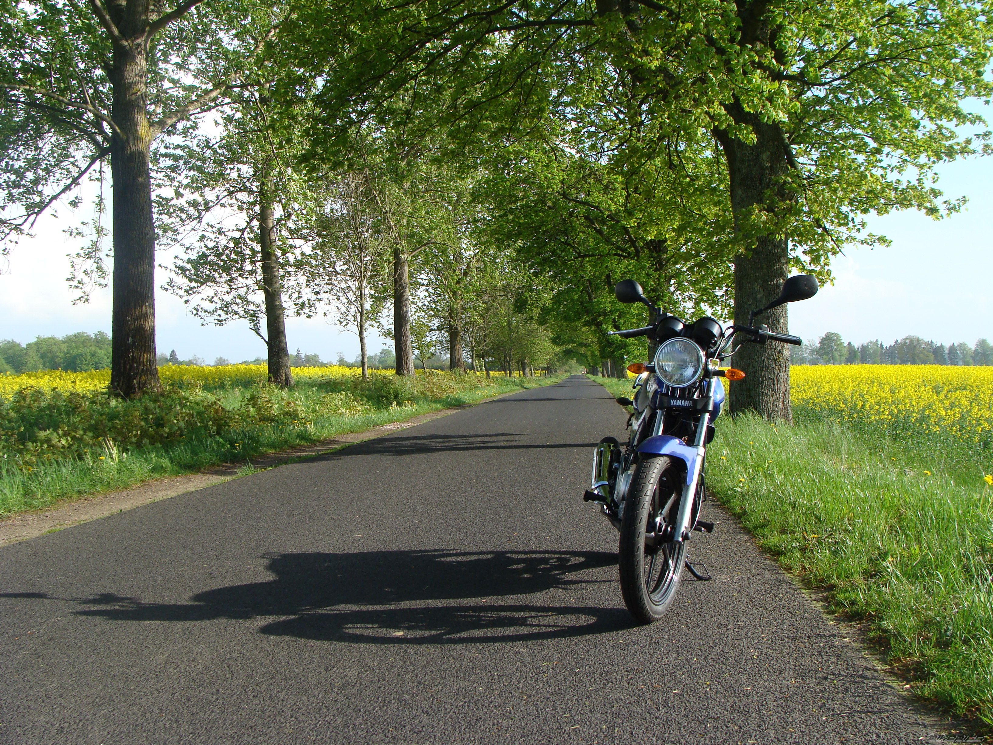 Bike Photo 1982693