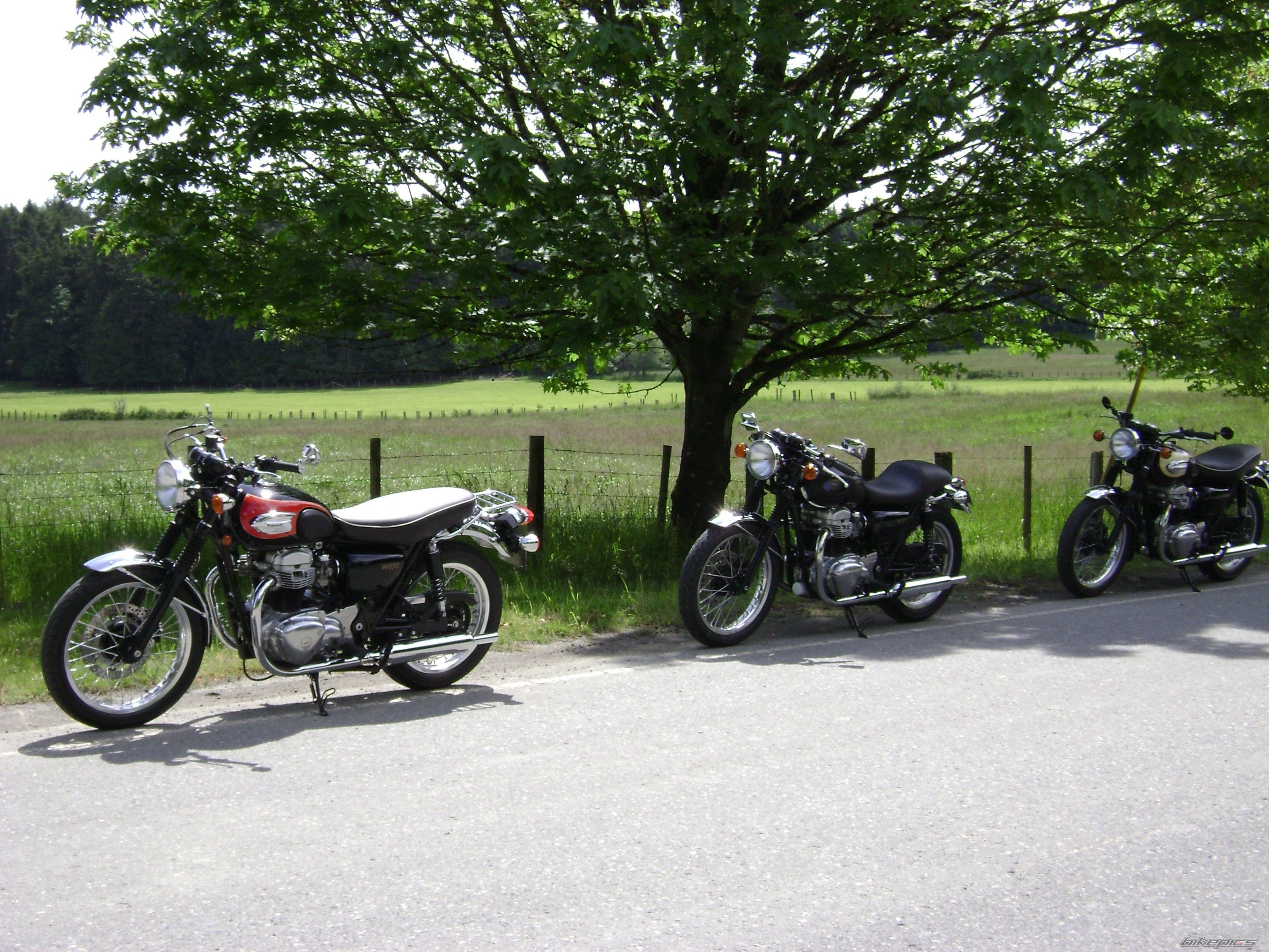 Photo 1982787