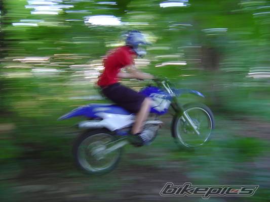 Photo 198296