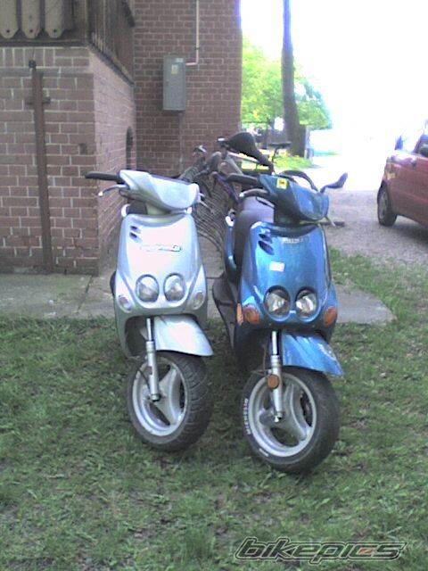 Photo 1983081
