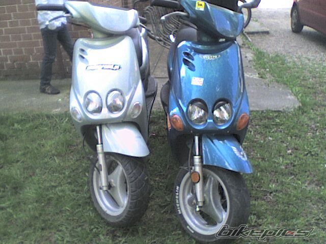 Photo 1983082