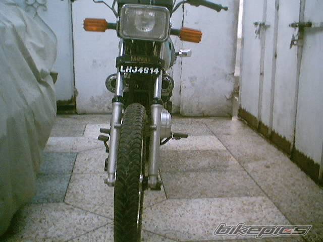 Photo 198314