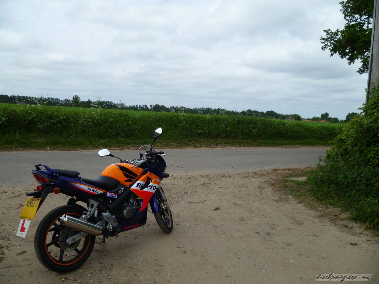 Photo 1983191