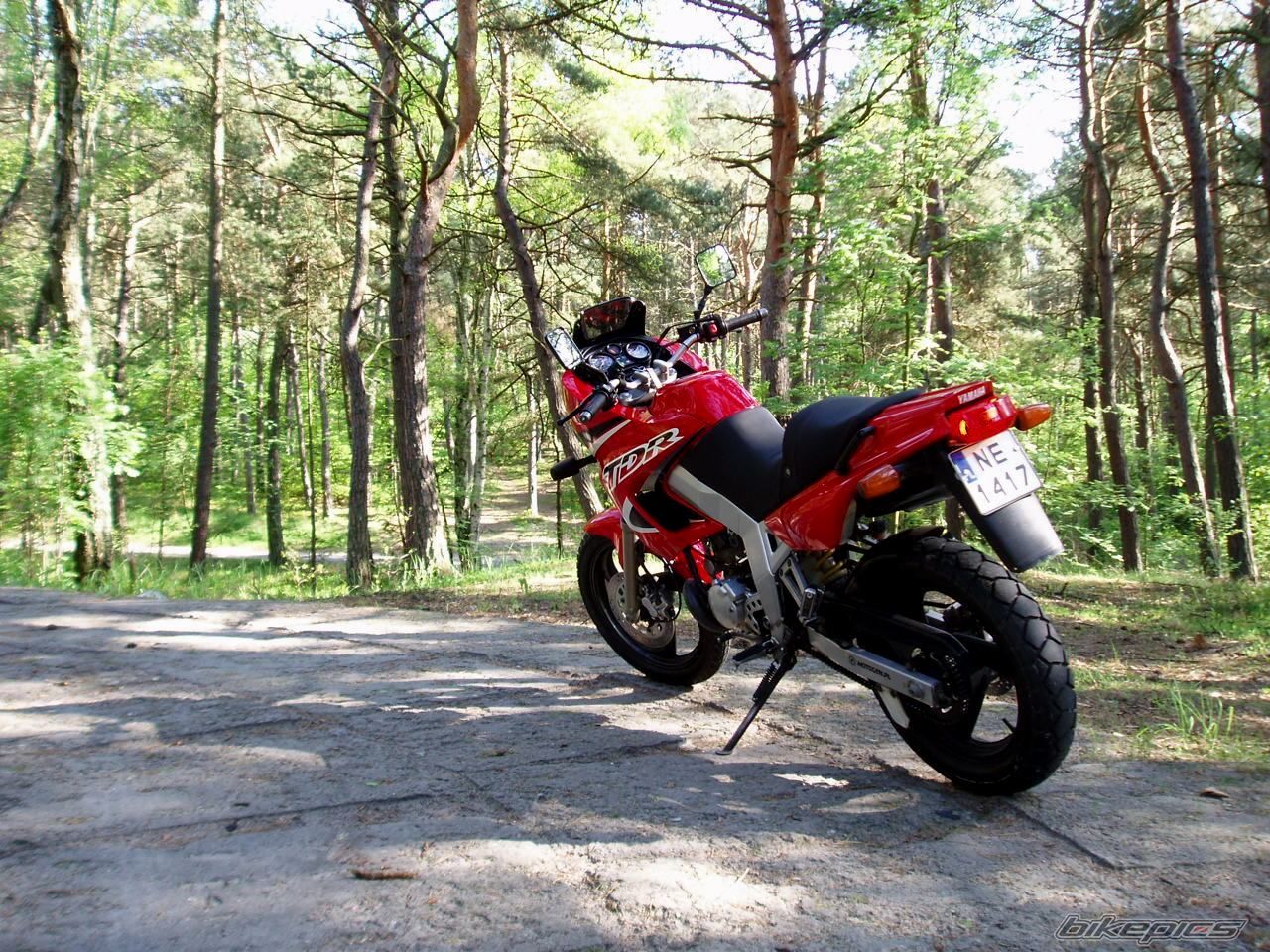 Bike Photo 1983204