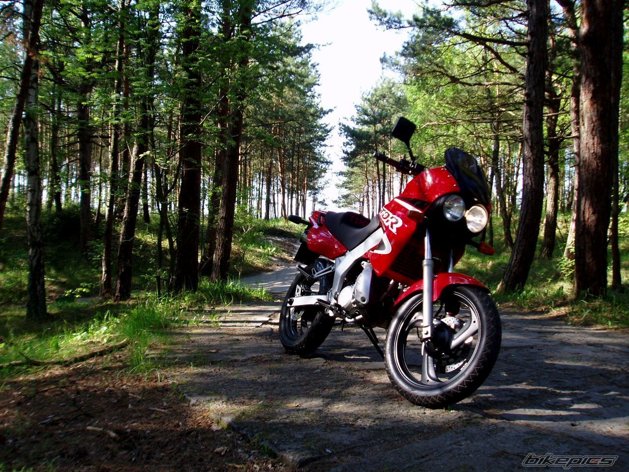 Bike Photo 1983205