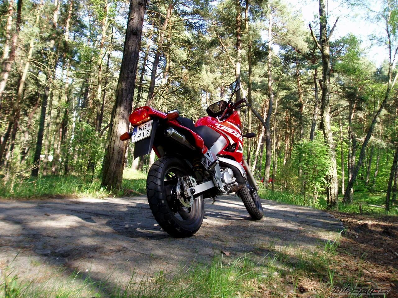 Bike Photo 1983206