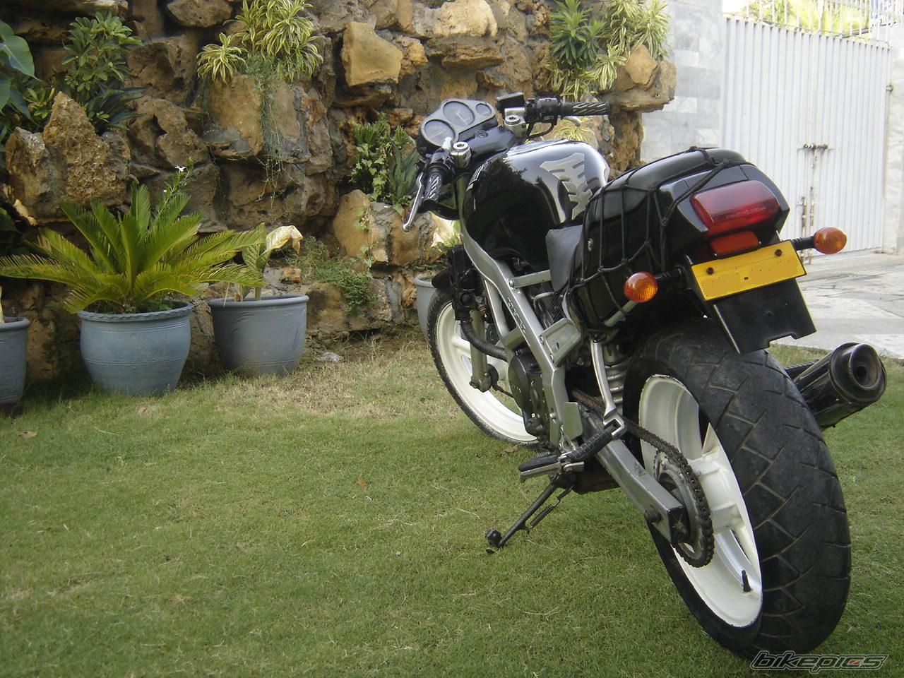 Photo 1983278