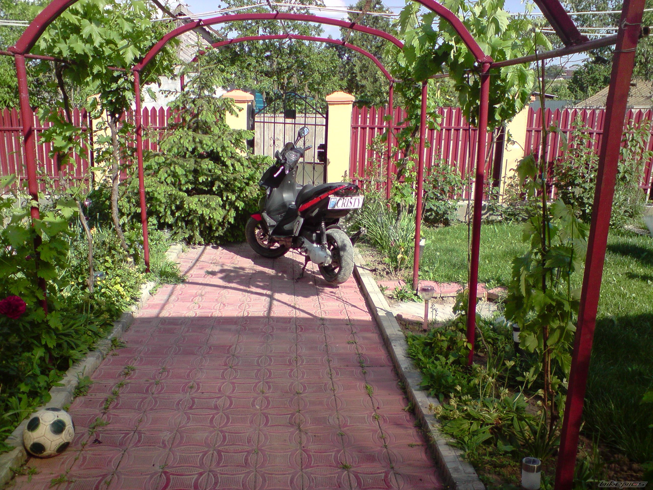 Photo 1983313