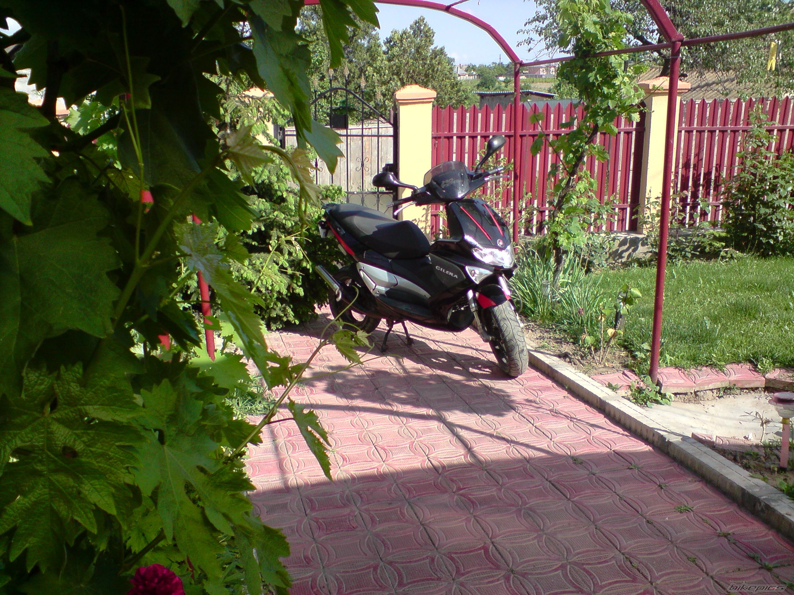 Photo 1983314