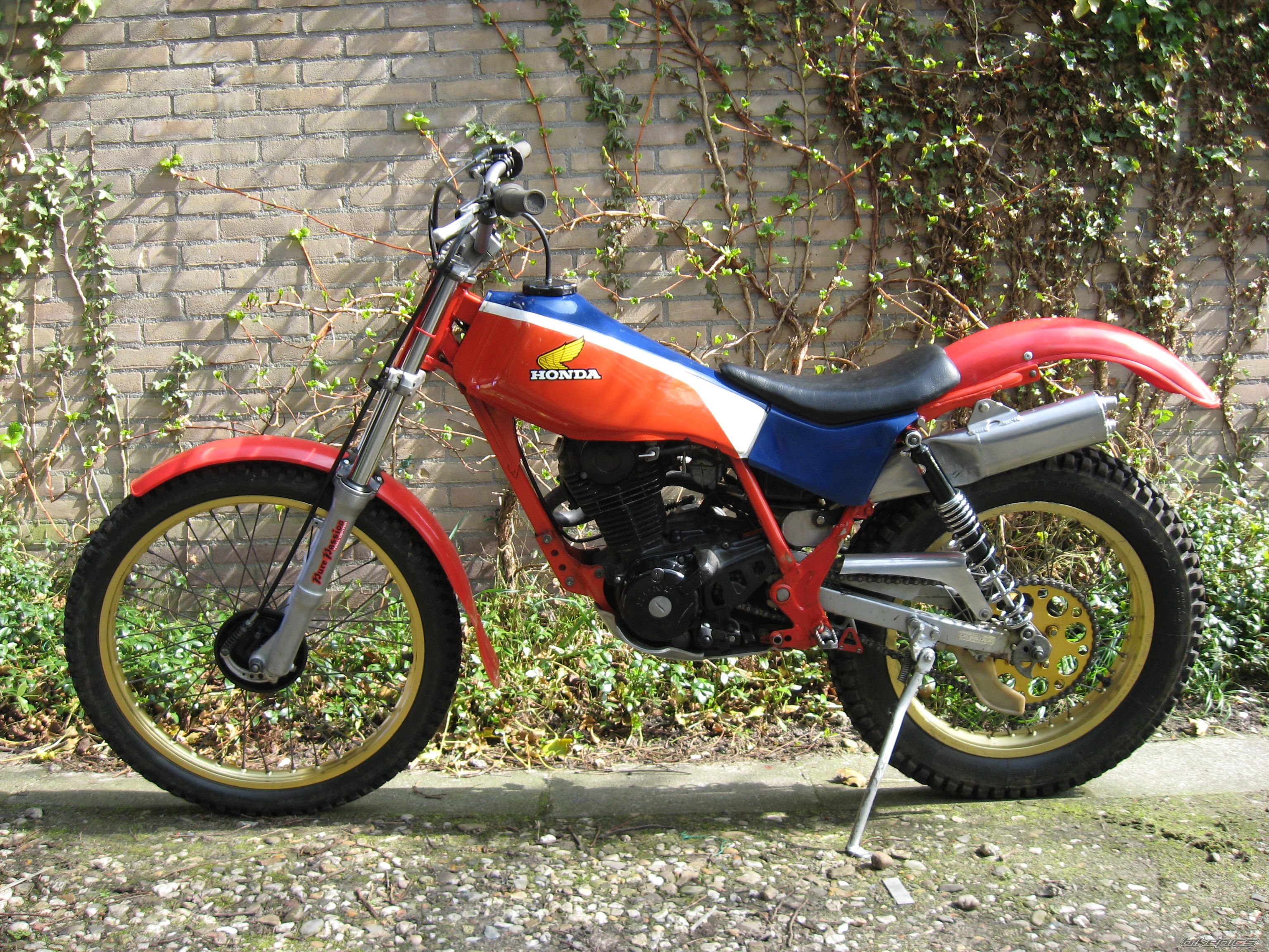 Photo 1983325