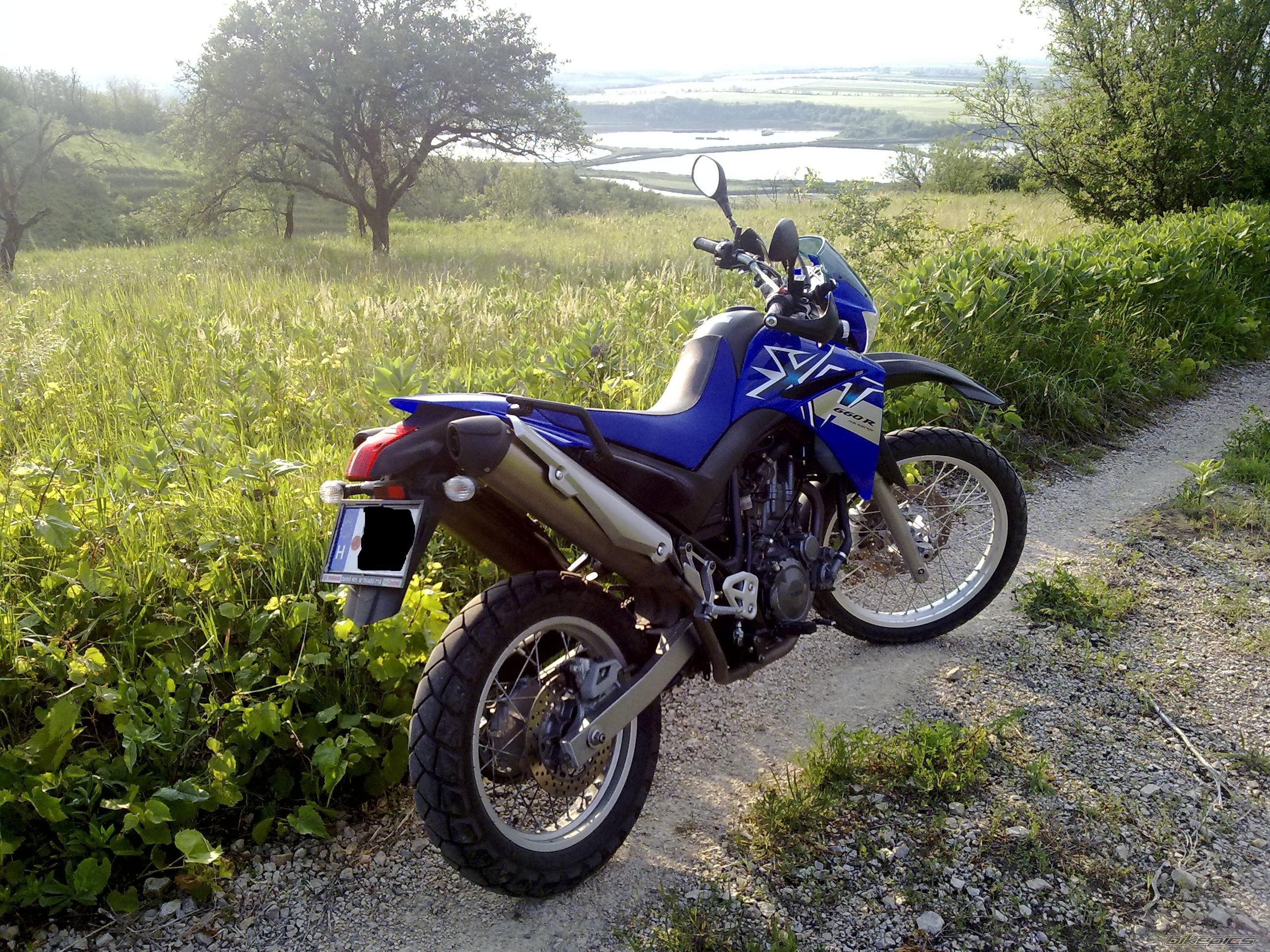 Photo 1983326
