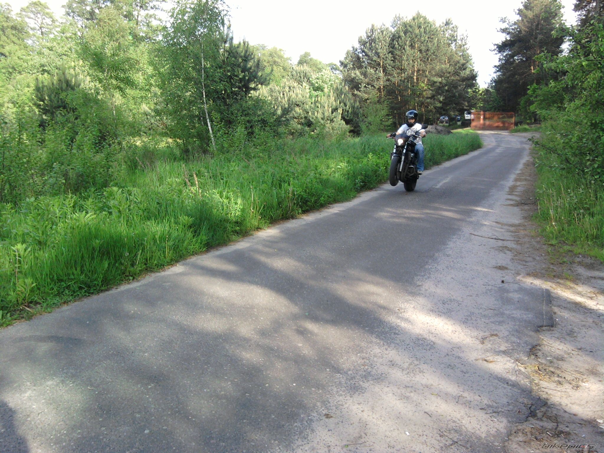 Bike Photo 1983362