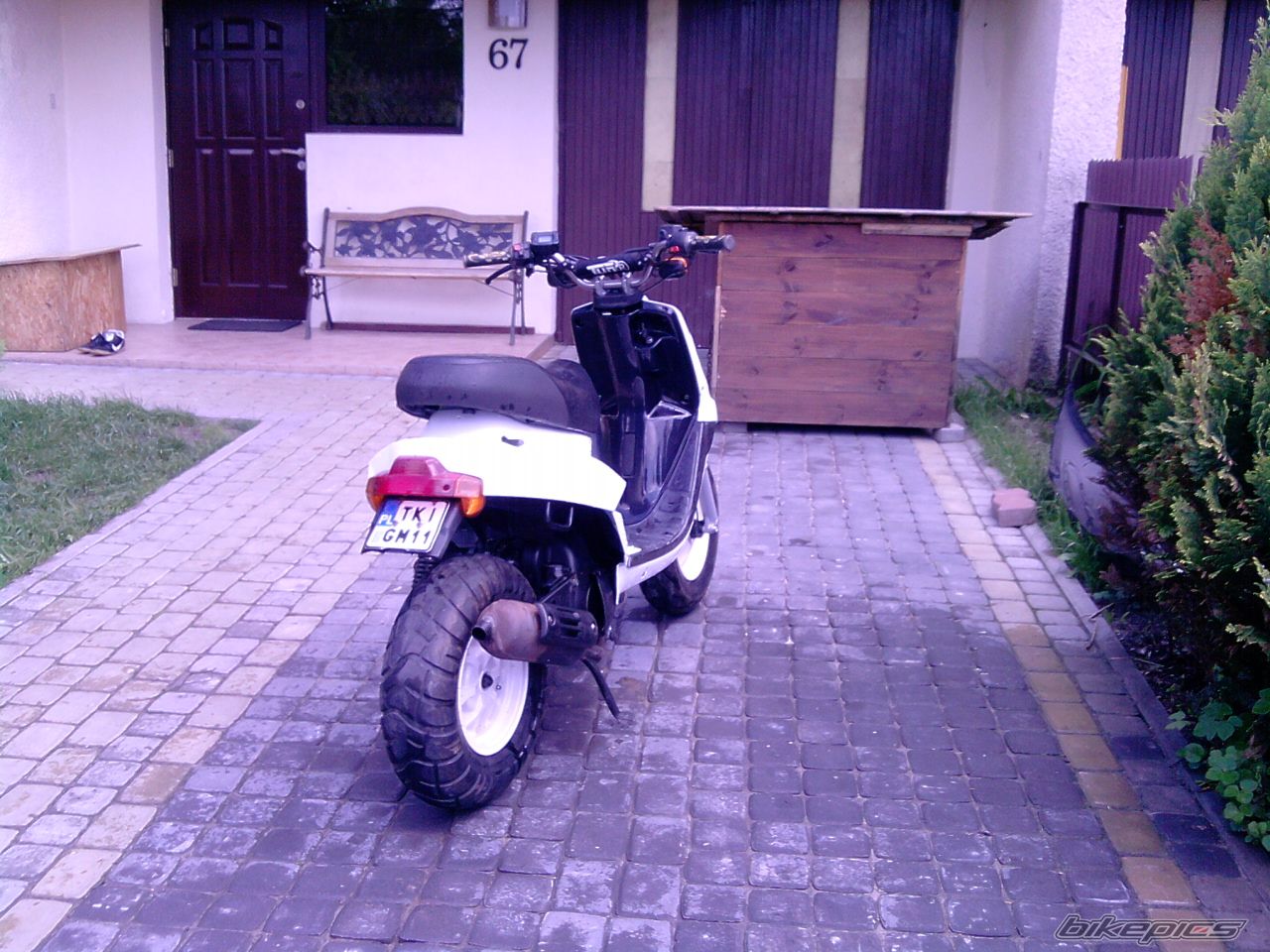 Photo 1983392