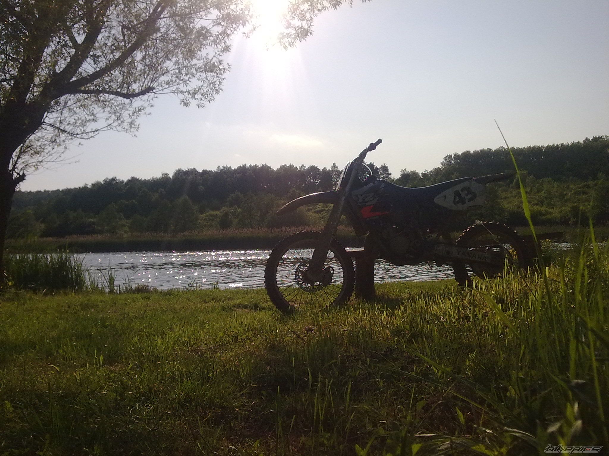 Bike Photo 1983393