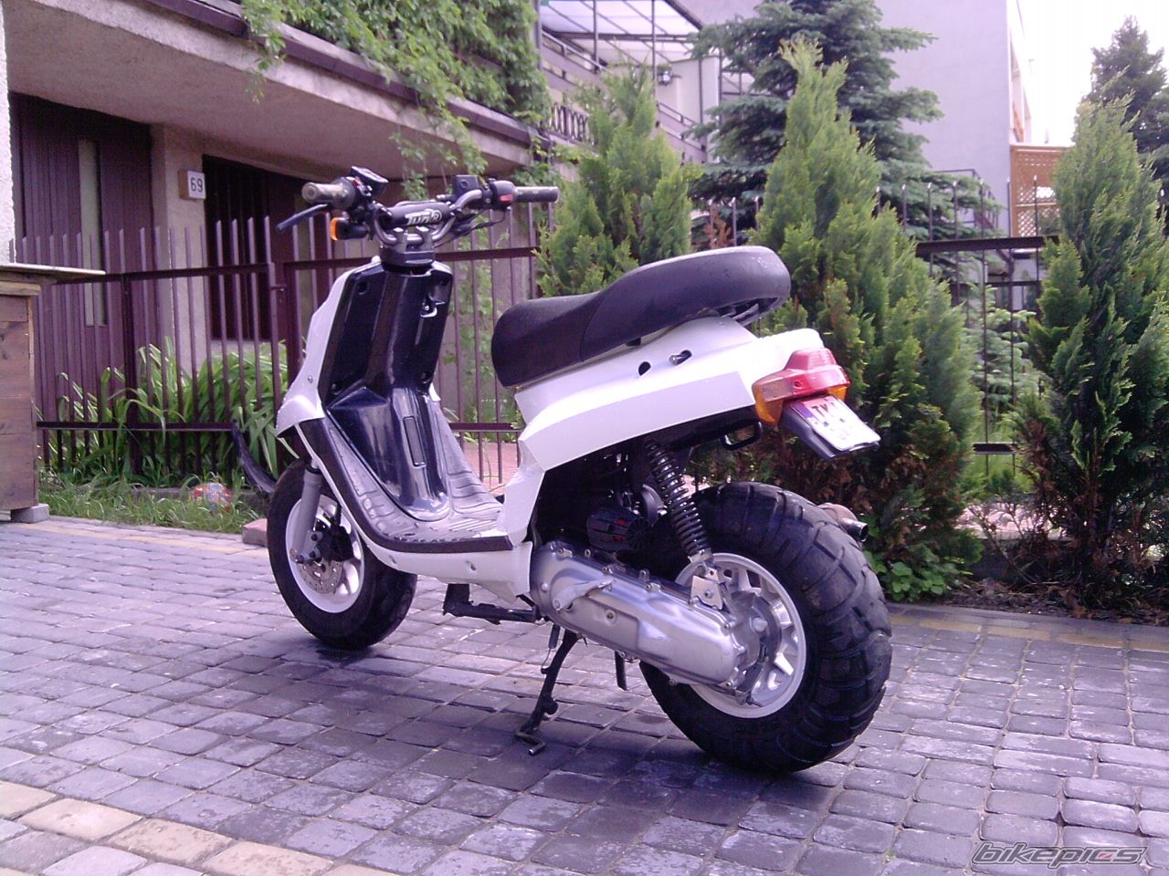 Photo 1983395